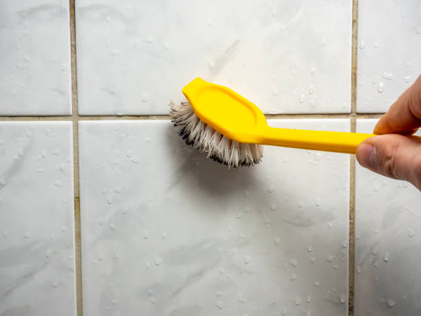 Professional Mold Removal in Vernon Hills, IL